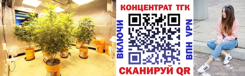 Купить где  Никольск  ТГК жижа 