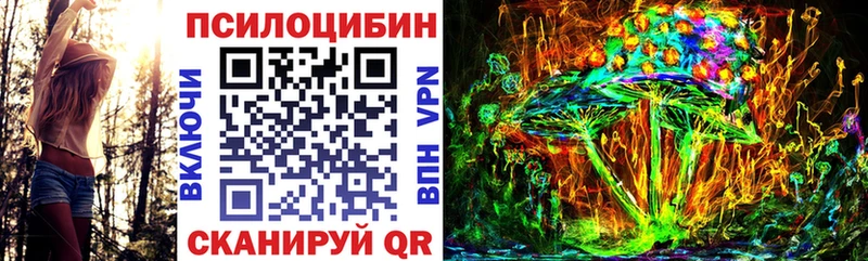 Галлюциногенные грибы Psilocybine cubensis  Купить  Никольск 